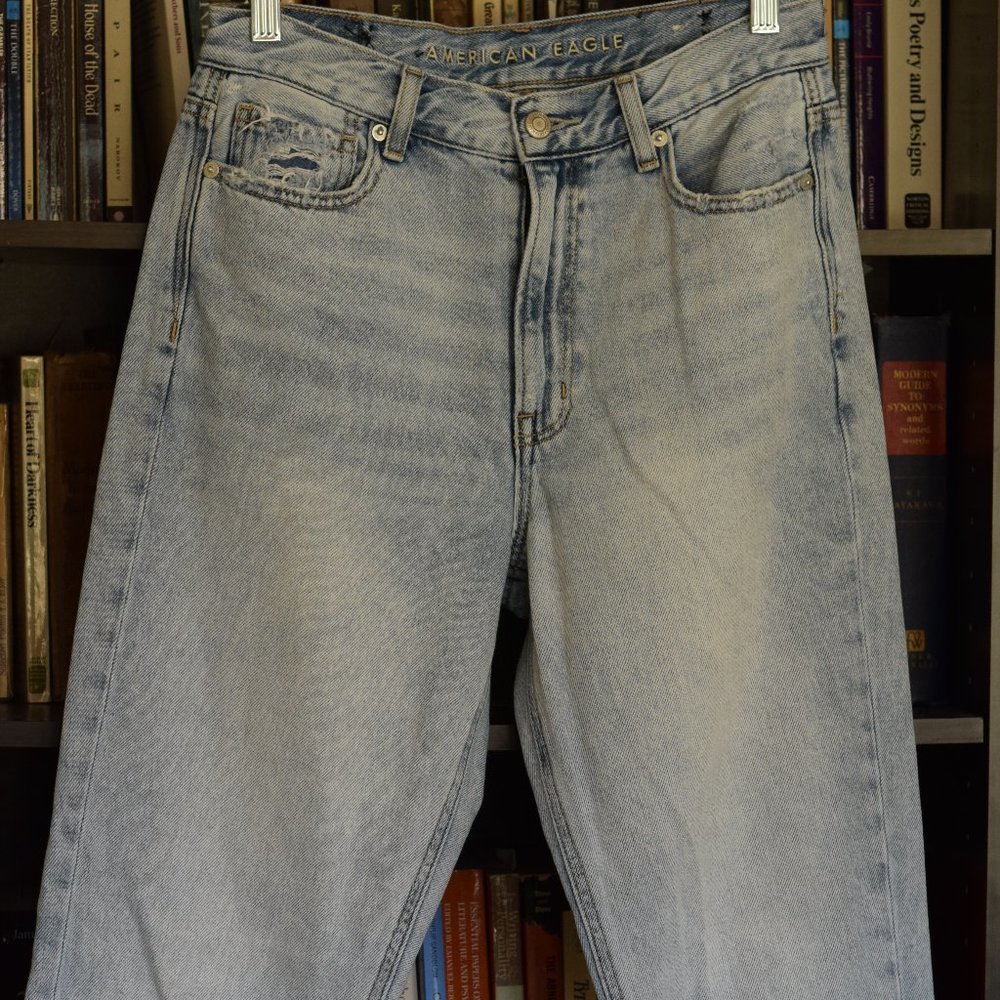 American Eagle Mom Jeans size 6 Long